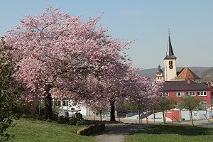 Mosbach